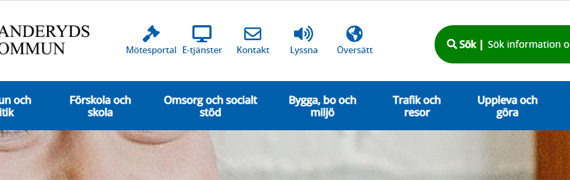 Case: Målsättning & Metod för Danderyds webbplats och intranät.
