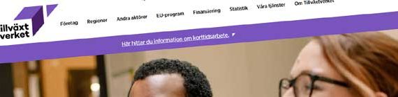 Webbinar 5 november - Arbeta målstyrt med din webbplats