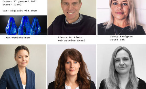 Utvärdering av WSA-dagen 2021