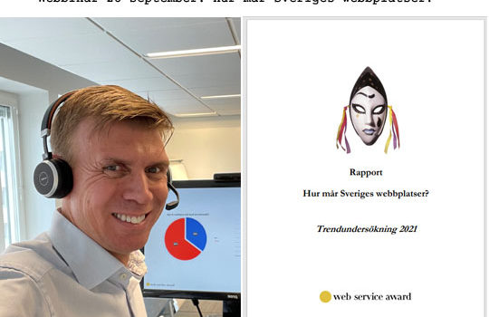 Webbinar 28 september 2021: Hur mår Sveriges webbplatser?