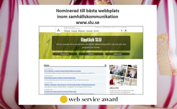 Lyhördhet och stabilitet i fokus hos SLU.se