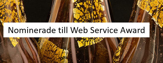 Intervjuer med de nominerade till Web Service Award